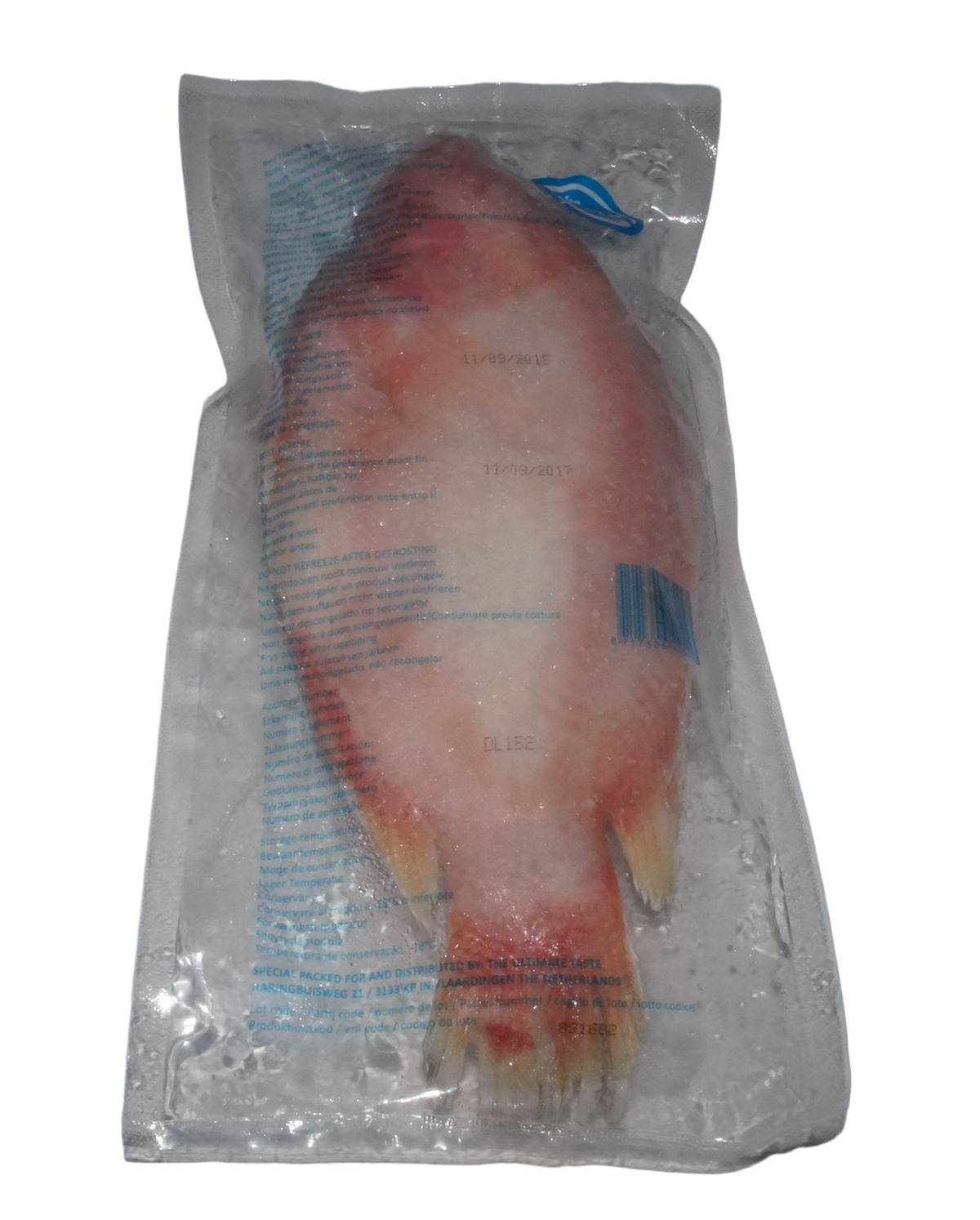 Tilapia Rauð heil +750 gr - Innnes heildverslun